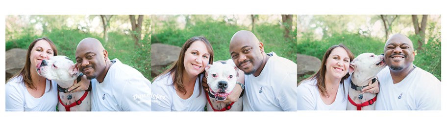 ZColl-DSC_3420X3-6x20smw